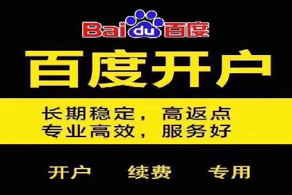 行业领先企业如何运用SEM进行精准营销